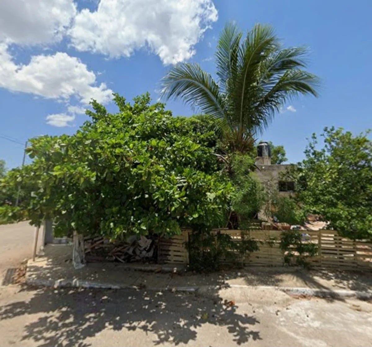 TERRENO EN VENTA ESQUINA MERIDA ROBLE AGRICOLA (FVT-1285)