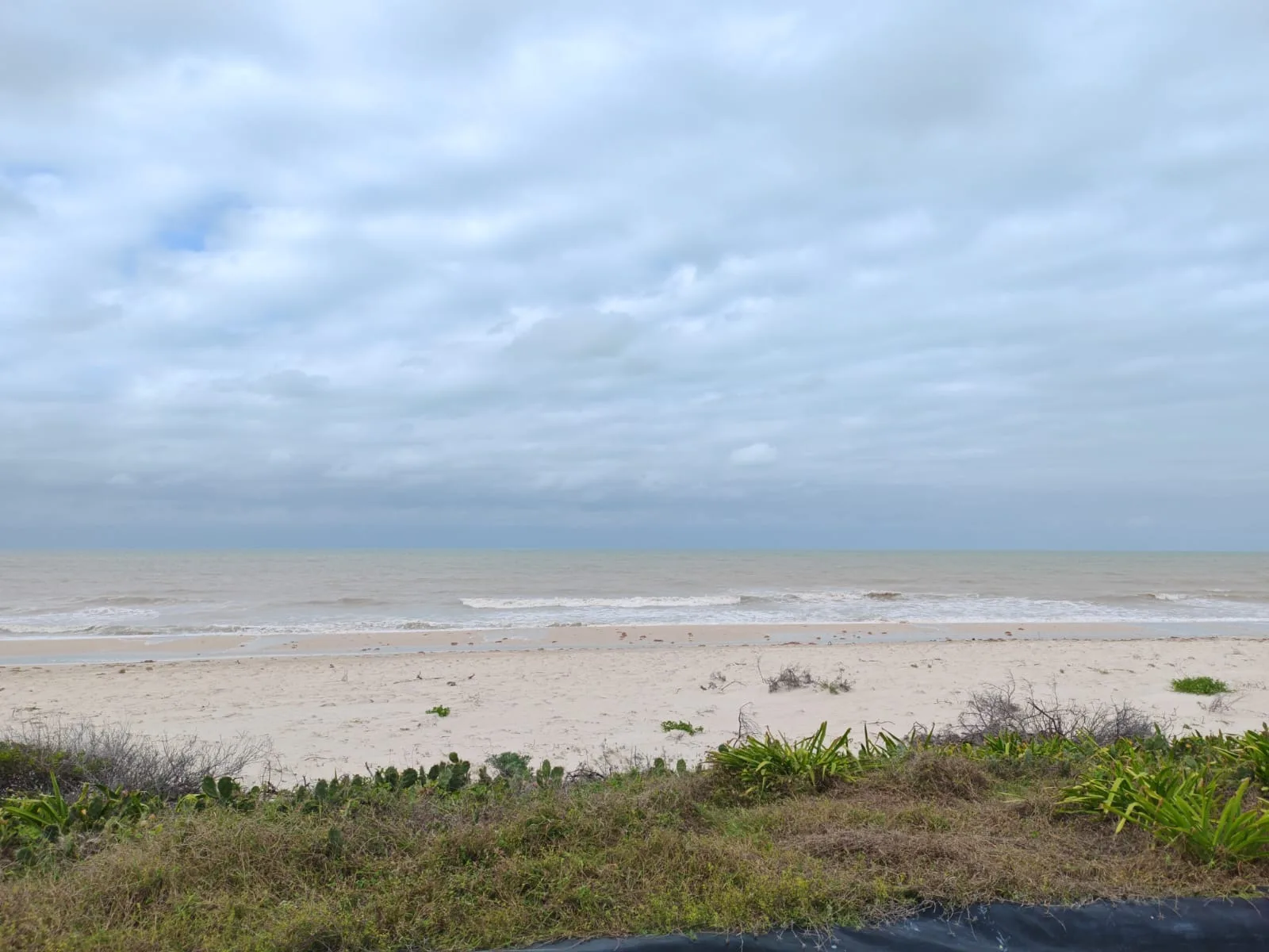 4  LOTES EN VENTA SISAL ORILLA DEL MAR (JVT-1213)