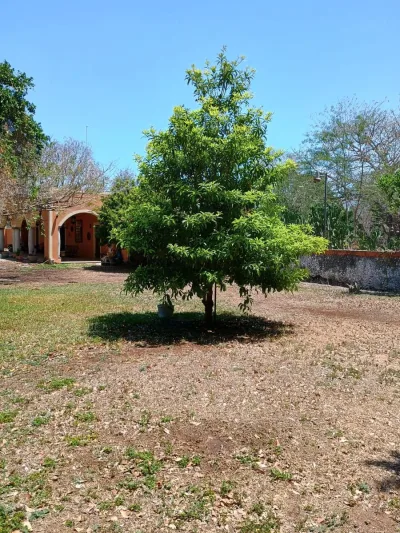 FINCA EN VENTA MERIDA SAMAHIL (AVC-2331)