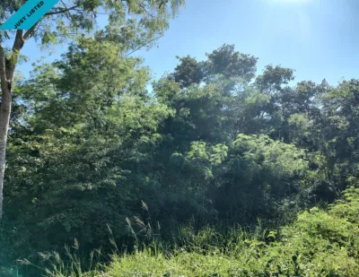 TERRENO EN VENTA MERIDA, MOTUL 2 TERRENOS JUNTOS (AVT-1210)
