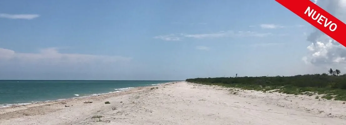 TERRENO FABULOSO EN VENTA FRENTE AL MAR MERIDA, CELESTUN (AVT-1253)