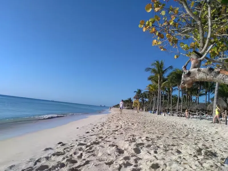ENCANTADOR DEPARTAMENTO EN RENTA PLAYA DEL CARMEN PRIVADA LOLTUN CERCA XCALACOCO (FRD-1077)