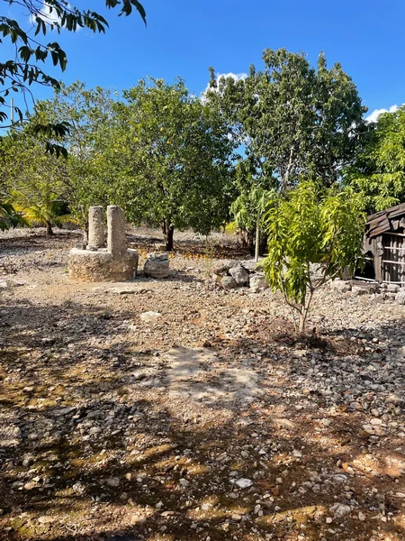 AMPLIO TERRENO EN VENTA HUNUCMA