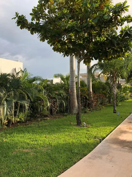 TERRENO EN VENTA EN PRIVADA CONKAL