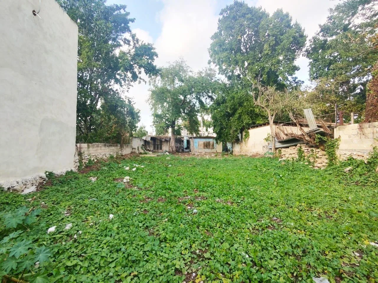 AMPLIO TERRENO