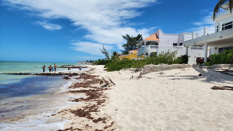 TERRENO EN VENTA 480M2 FRENTE AL MAR, CHUBURNA PUERTO (AVT-2830)