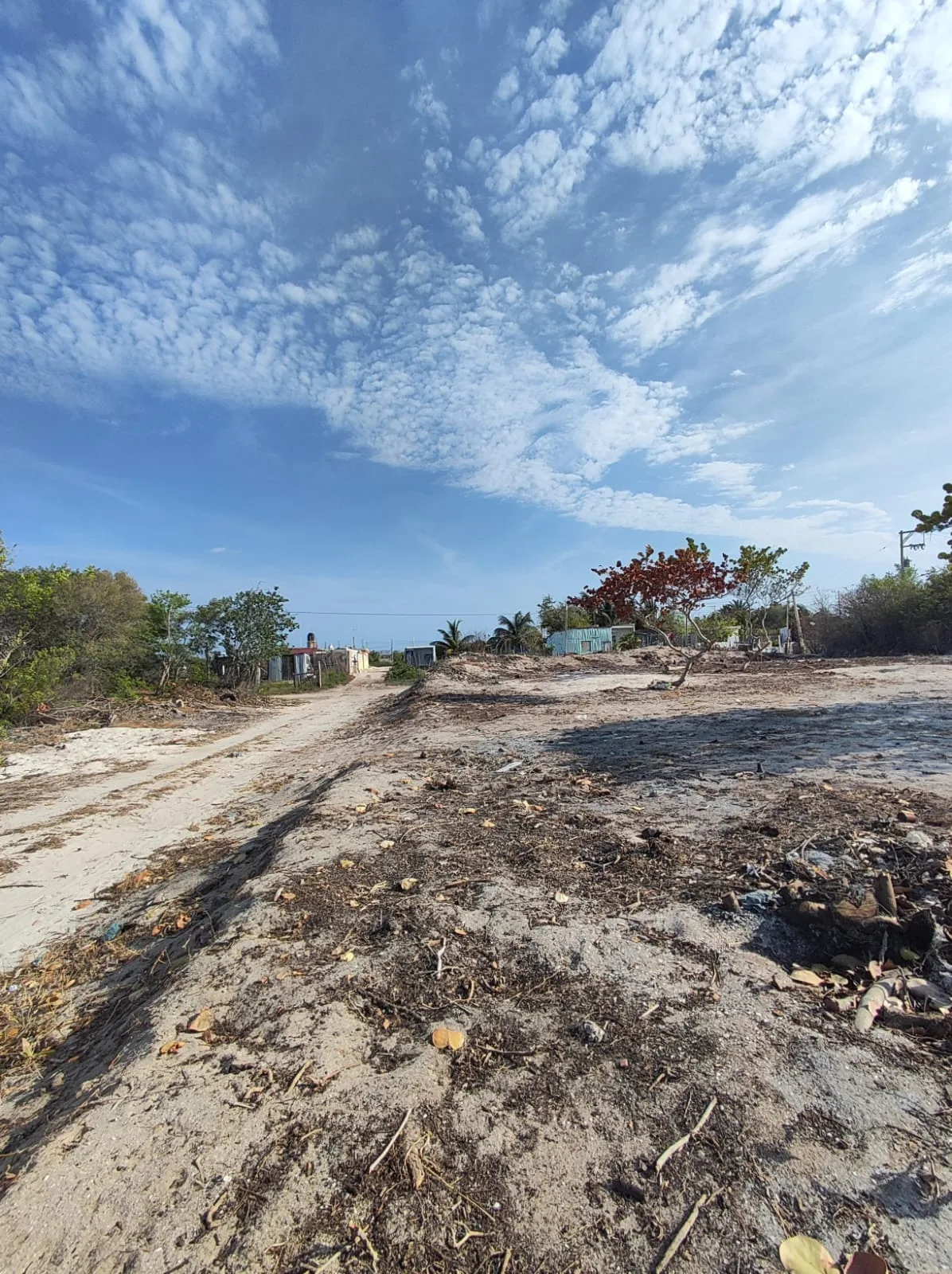 EXCELENTE OPCION TERRENO EN VENTA PROGRESO, CHELEM (IVT-1214)